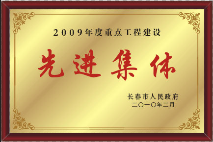 2010年先进整体